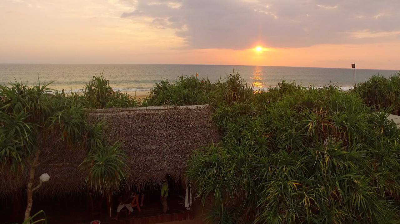 Jungle Beach Ahungalla Eksteriør bilde